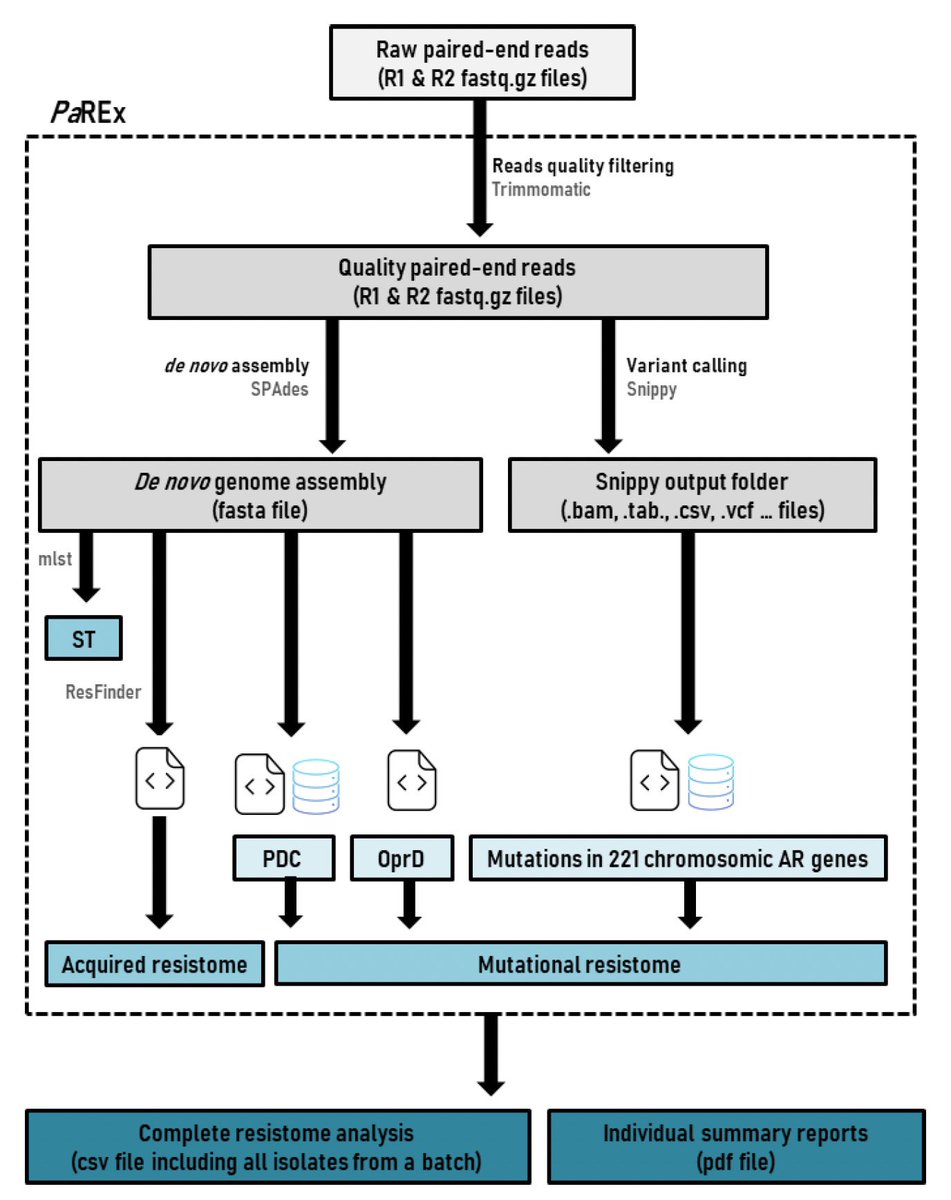 arpbigidisba's tweet photo. It also includes the web tool PDC (Pseudomonas Derived Cephalosporinase) analyzer designed to characterize P. aeruginosa AmpC sequences and determine the role in resistance to novel beta-lactams   https://t.co/yKUvIS3ciK https://t.co/gJQjlhQCAa