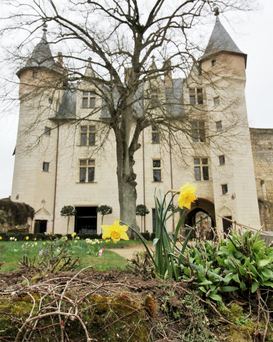 🔴 𝗣𝗥𝗘𝗠𝗜𝗘𝗥𝗘𝗦 𝗙𝗟𝗘𝗨𝗥𝗦 🌼 | On sent que la douceur angevine s'installe, que le printemps prend ses marques... c'est bon signe, la réouverture approche ! 𝗝-𝟭𝟲 ! 💛

D'ici là, toute l'équipe du château de Montreuil-Bellay vous souhaite une très belle semaine ! ☀️