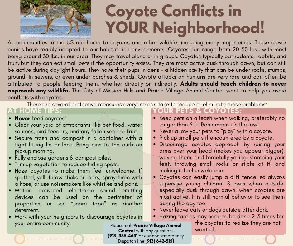 Eric Mikkelson tweet media