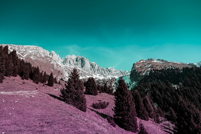 Erika Baxter tweet media