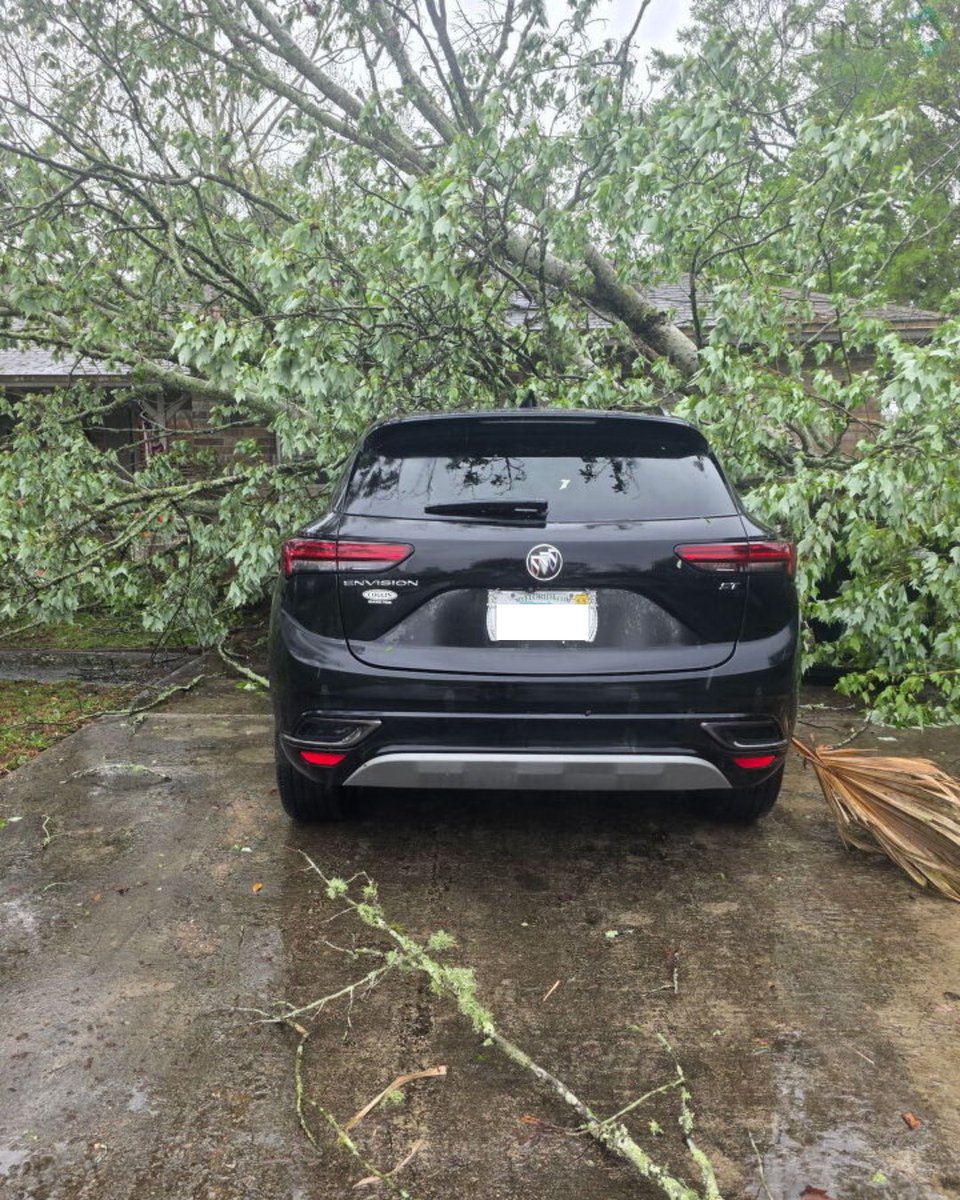 MikeFirstAlert's tweet image. #firstalertwx tree on a car in Orange Park from this (Mon. 03/16) afternoon’s storms @ActionNewsJax  @WOKVNews @NWSJacksonville