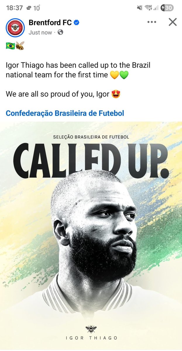 Beesotted Brentford tweet media