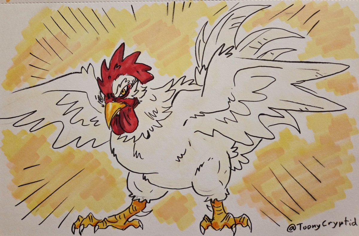 𝚃𝚘𝚘𝚗𝚢𝙲𝚛𝚢𝚙𝚝𝚒𝚍 tweet media