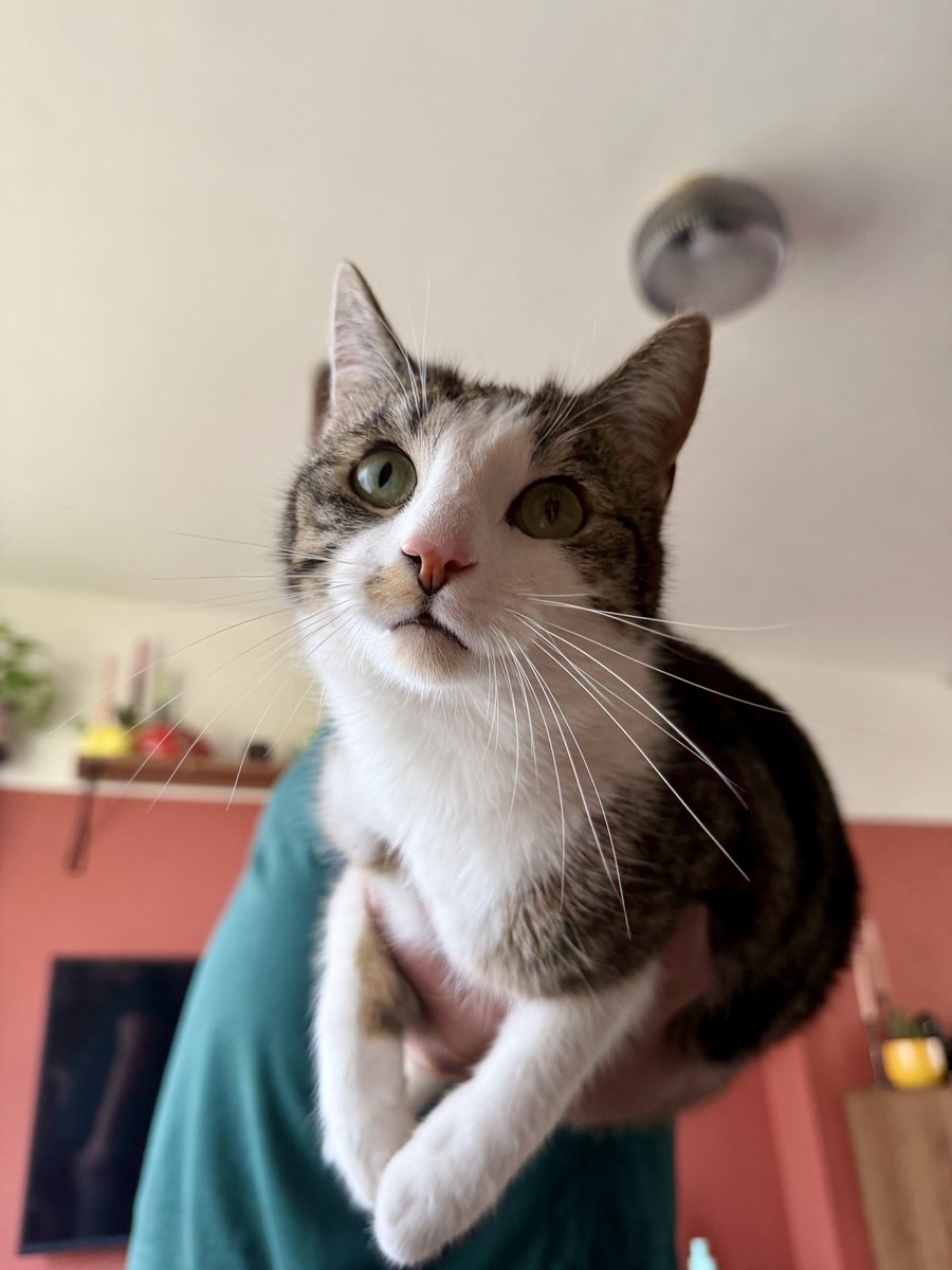 Josan✨ tweet media