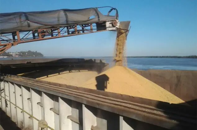 Estado de Alerta tweet media