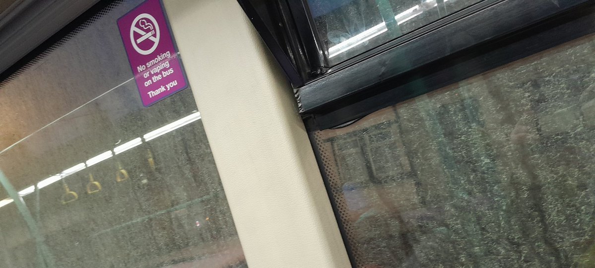 GingRealAleTrail tweet media