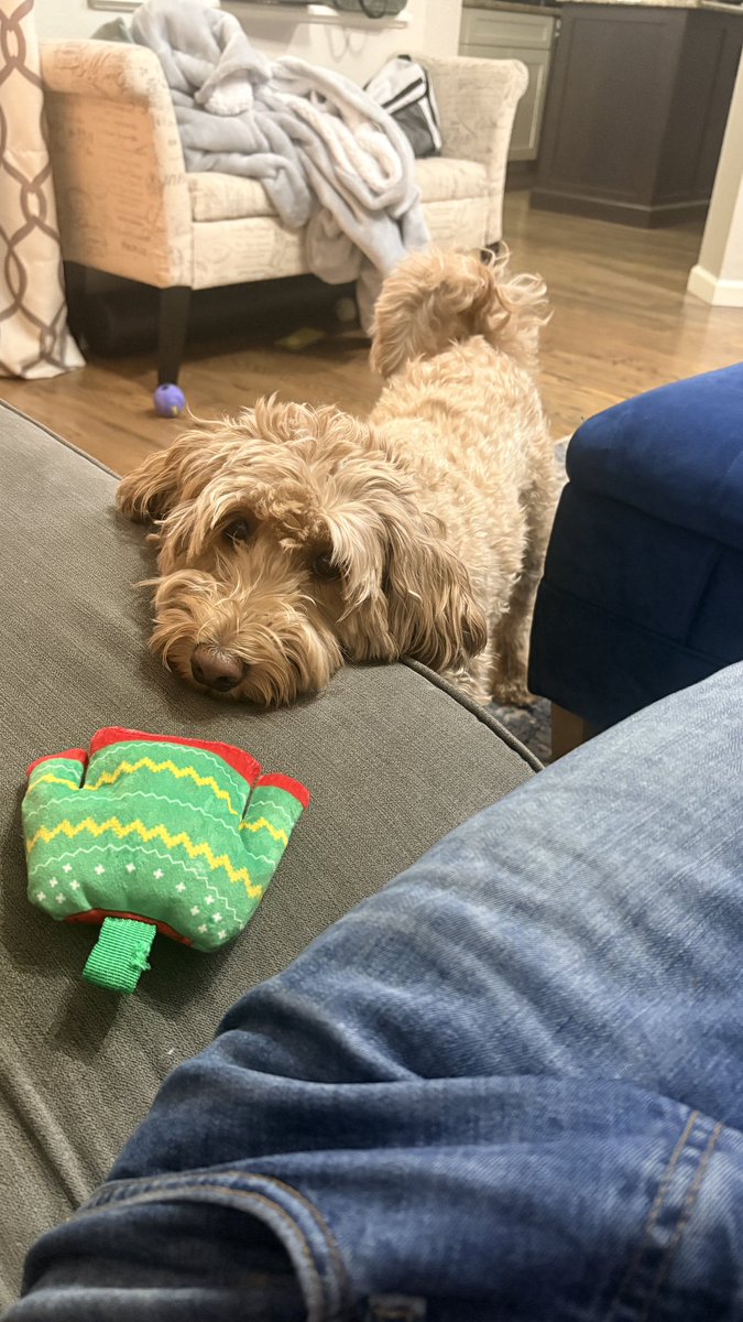 Zach Fox tweet media