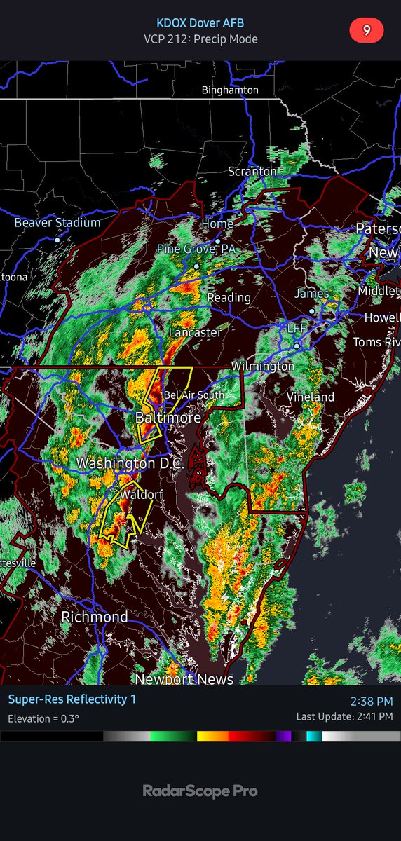 Sebastian Neidlinger tweet media