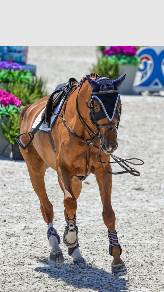 <a href="/marijotrue/">MariJo</a> <a href="/SheriNetz1/">Sheri Netz 🕊</a> <a href="/LilPudgeBear/">🌸🩷 Kim💞🐕🐾🐶</a> <a href="/terescavs/">Bubo🦉da droid 🗽NYC 🇺🇸</a> <a href="/PatriotLantern/">Revere’s Midnight Ride</a> <a href="/twittlebird21/">twittlebird</a> <a href="/AngieB70689736/">Angie B (AngieTink) 🧚‍♀️🪄💫✨😘🥰🇺🇸 xoxo Poof!</a> <a href="/Lissa4Maga/">Lissa4Maga aka Cowboy Killa 🐎</a> <a href="/MAGAPowerhouse/">Warrior4Christ</a> <a href="/Para_Bellum666/">OldMonkey 🇺🇸🇲🇫🇨🇦</a> <a href="/RaniL247/">Rani</a> <a href="/TexanMike498806/">Texan Mike</a> <a href="/HELLO30629/">MAGA PATRIOT X-MAN</a> <a href="/Slizzle20/">Slizzle</a> <a href="/OurGadsdenFlag/">OG Flag</a> <a href="/time4pugs/">Dogs4Ever</a> <a href="/Zebra1weissblau/">walle</a> Thank You MariJo for your kindness 💝🌷<a href="/marijotrue/">MariJo</a>🌷💝
Adding ⏩️  <a href="/thompsonterr/">Organized Ghost Peace.</a>
<a href="/sunshinentan2/">Sushinentan 2</a>
<a href="/LasVegasAdonis/">Leo</a>
<a href="/_kitty_hawk/">kittyhawk</a>    
 <a href="/GulfofAmerica4/">Gulf of America</a> 
<a href="/netcurious/">Netcurious</a>    
<a href="/__LARCHER__/">L' ARCHER 🏹 DE FRANCE 🐺➕ 🇫🇷⚜️🐺</a> 
<a href="/MadnessWithin11/">Madness From Within</a>     <a href="/Iam_precious55/">precious 💕</a> 
<a href="/ladenemayville/">LaDene Mayville</a>    
 <a href="/bigvalleyRob3/">🌴 Vet In Paradise 😎</a>
<a href="/brookscreek84/">BROOKS</a>
<a href="/JenPive/">LiterallyNobody!</a>