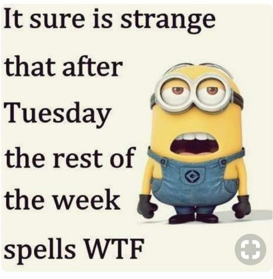 KURO ☠️❤️‍🩹 tweet media