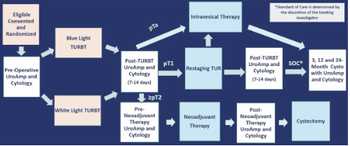UroToday.com tweet media