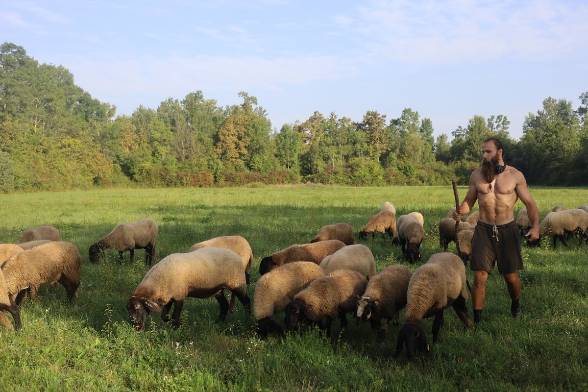 King of the Marsh tweet media