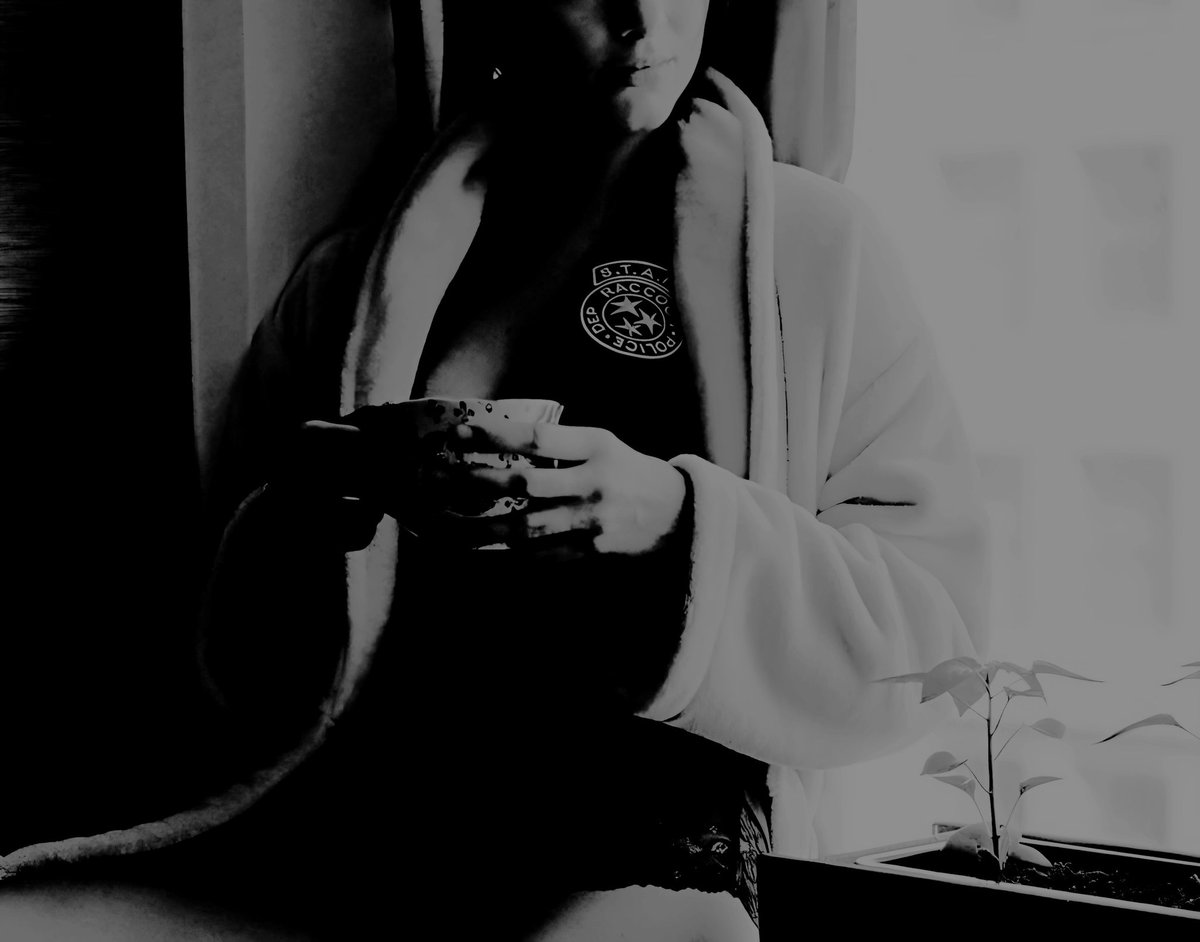 โโโโ tweet media