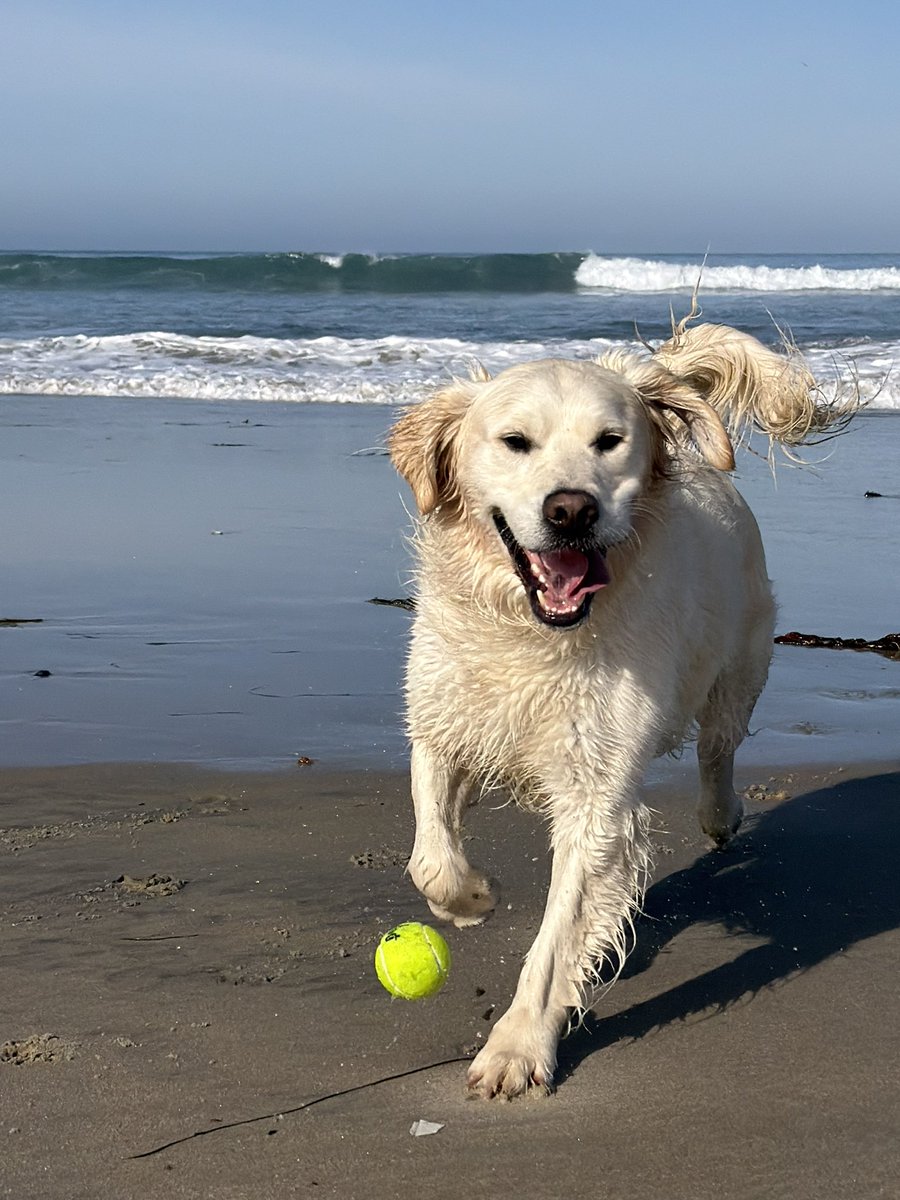 Solly & Yossi tweet media