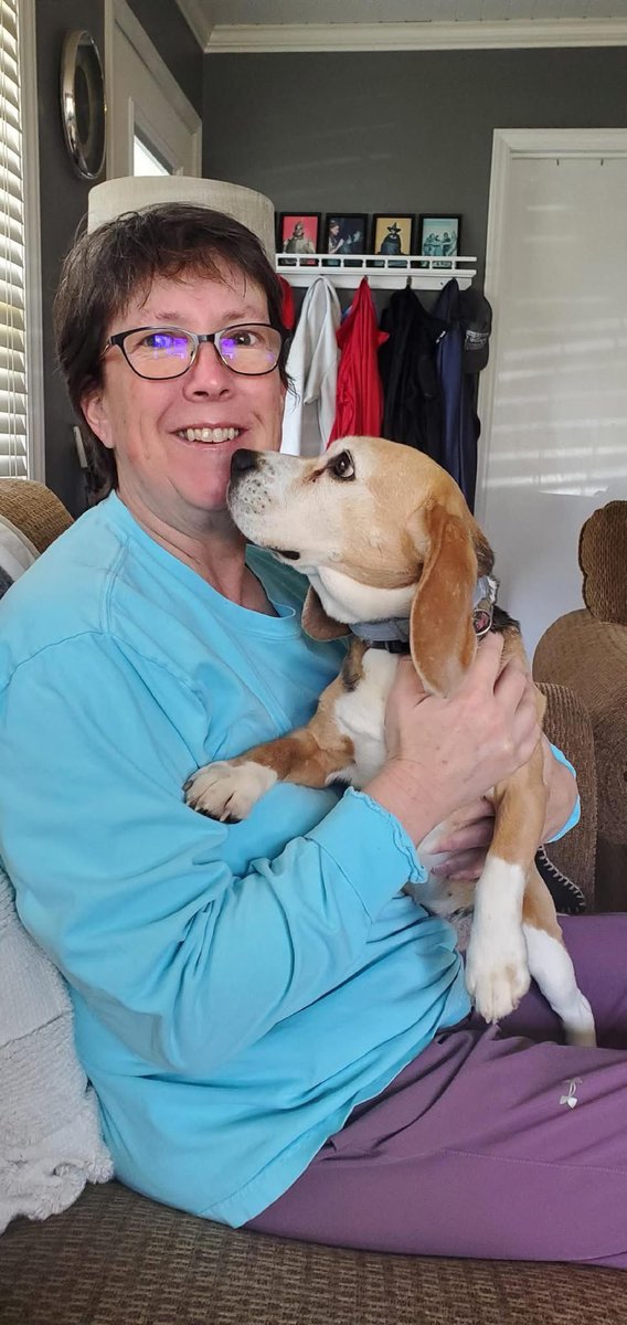 TriBeagles tweet media