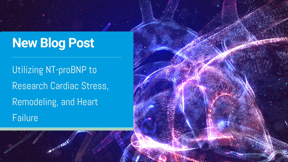_idkna's tweet photo. From injury to stress to failure. Explore how NT-proBNP enables research into remodeling and heart failure progression.

Discover more: https://t.co/gd0pobqGB7

#CardiacBiomarkers #NTproBNP #CVDResearch https://t.co/CmgIuUuGdR