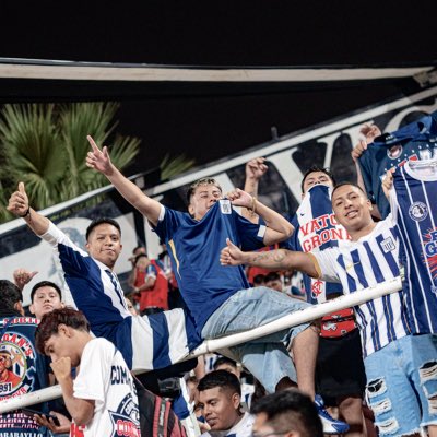 Sandro tweet media