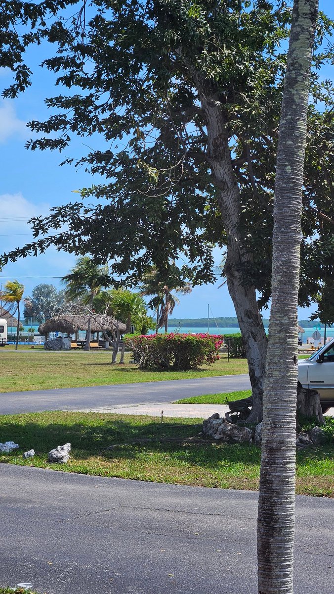 Judy Mick tweet media