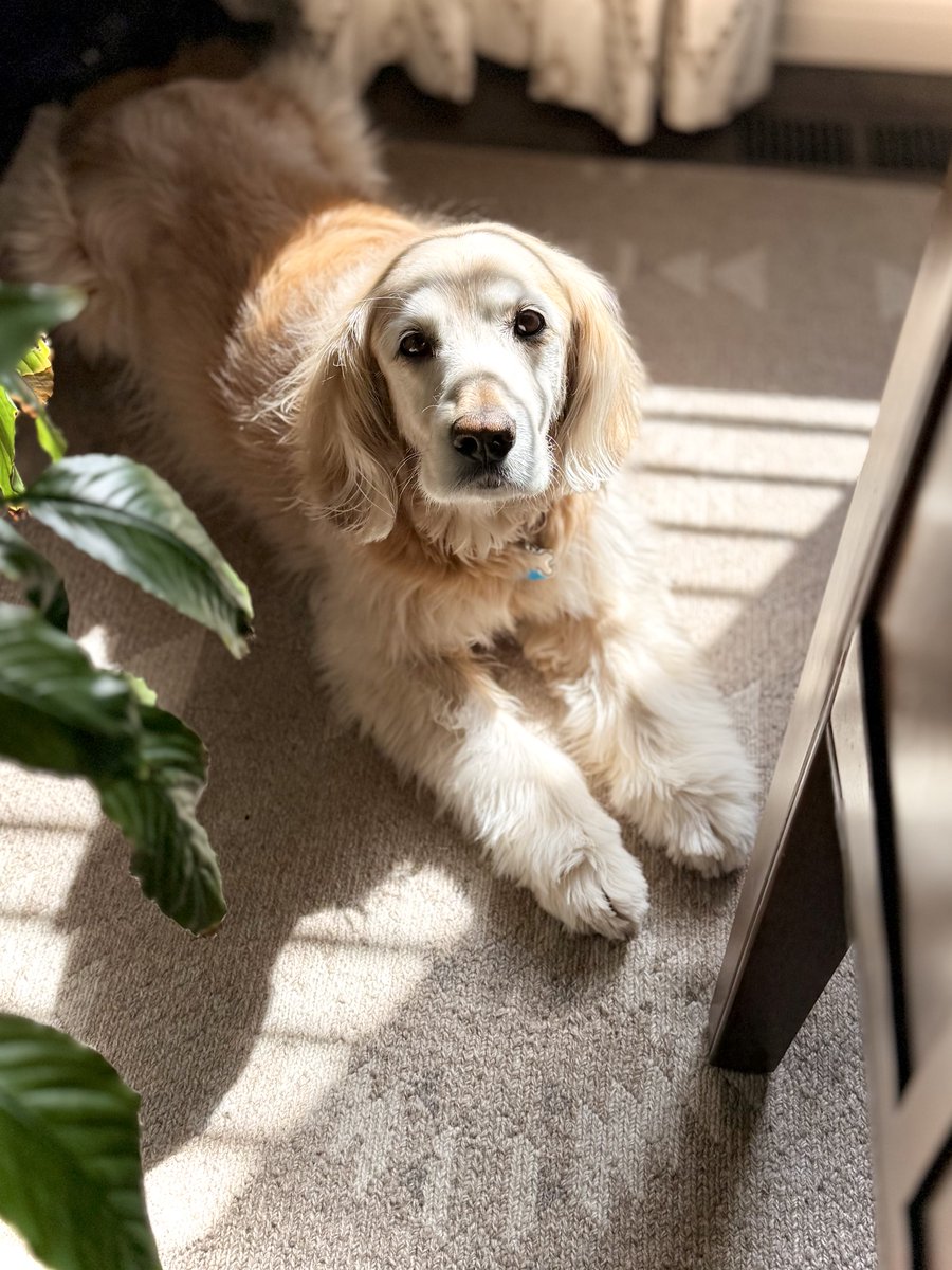 Paul Hanson tweet media