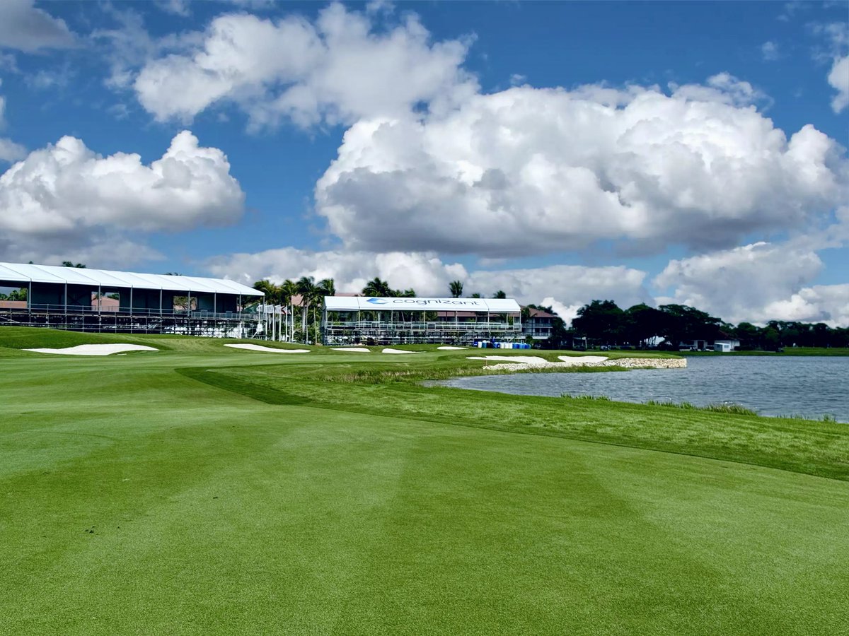 Mike O’Halloran tweet media