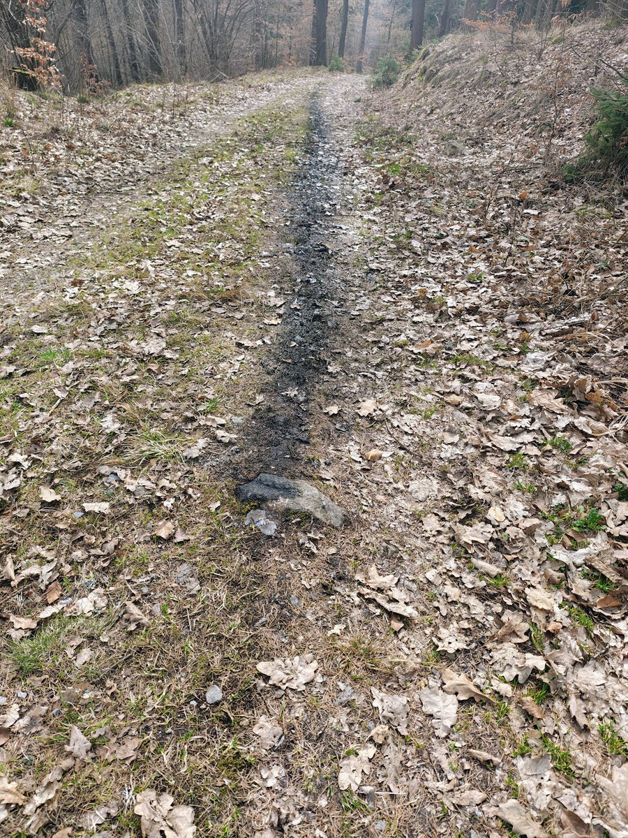 Lišák P tweet media