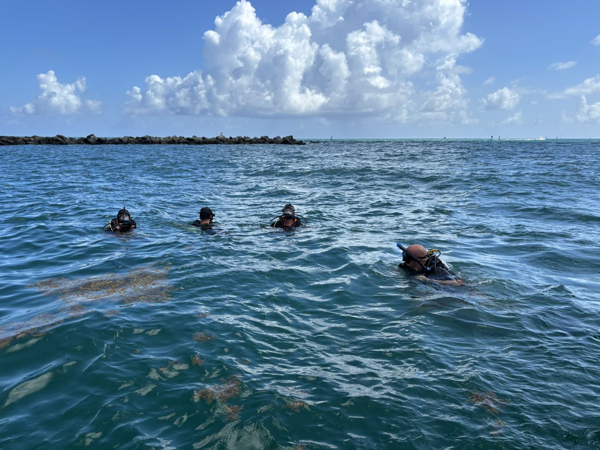 Miami Beach Fire tweet media