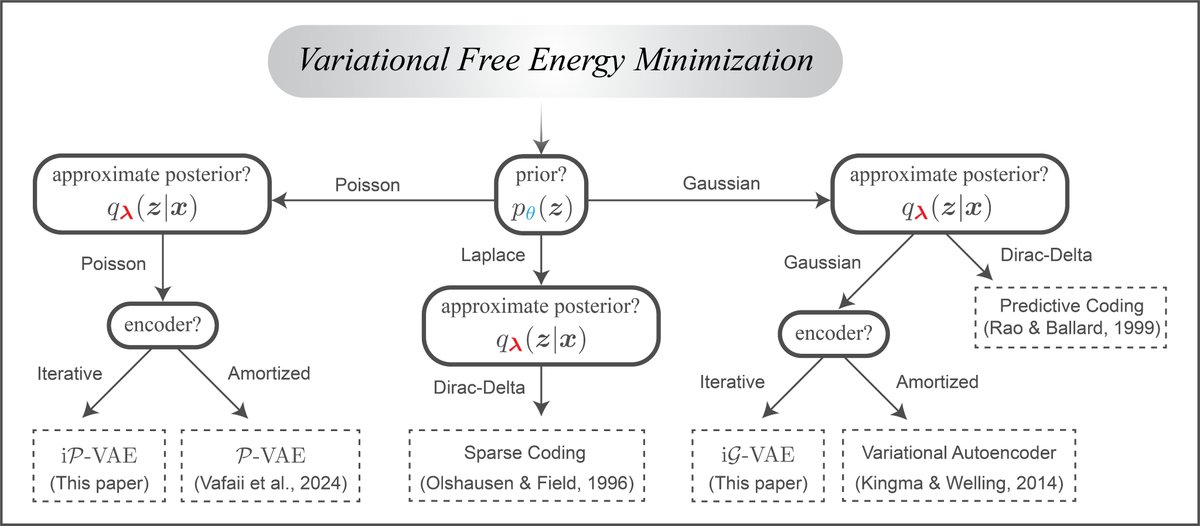 hadivafaii's tweet photo. Free energy minimization is interesting, because it unifies various theories in neuroscience with machine learning models 👇

("Control/RL as inference" is also free energy minimization)

Different distributional and optimization choices yield different architectures (fig from: https://t.co/fpdzUipv33)

[3/11] 🧵