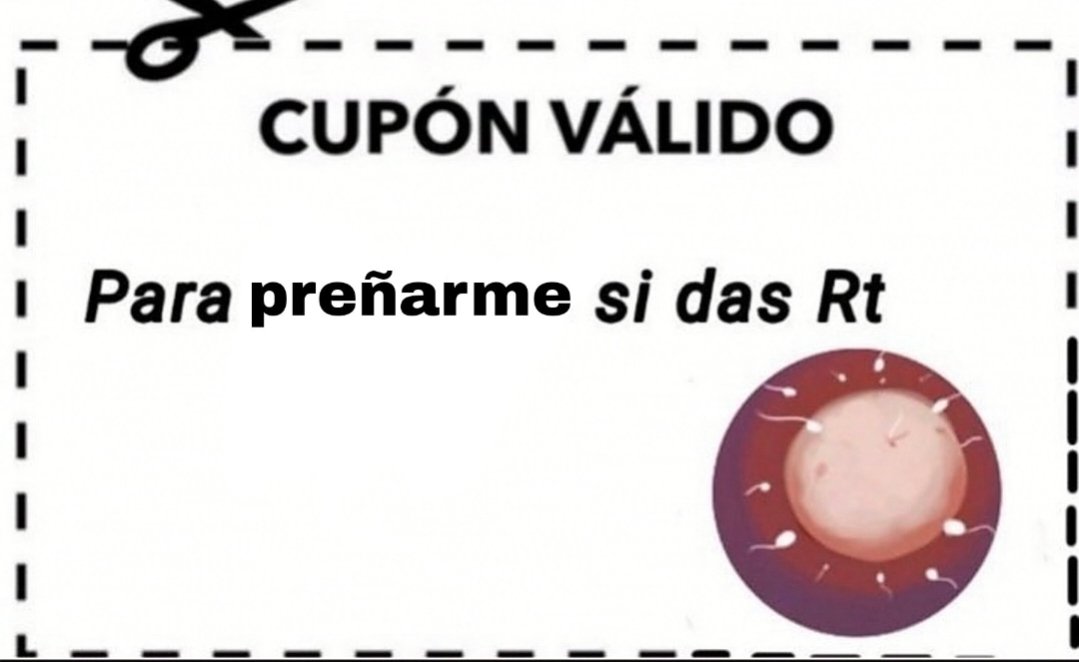 🤍•|La Posada de Elizabeth y Elaine|•💛 tweet media