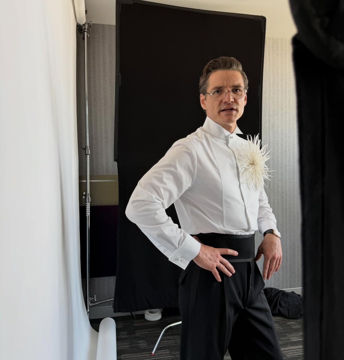 Pedro Pascal Daily tweet media