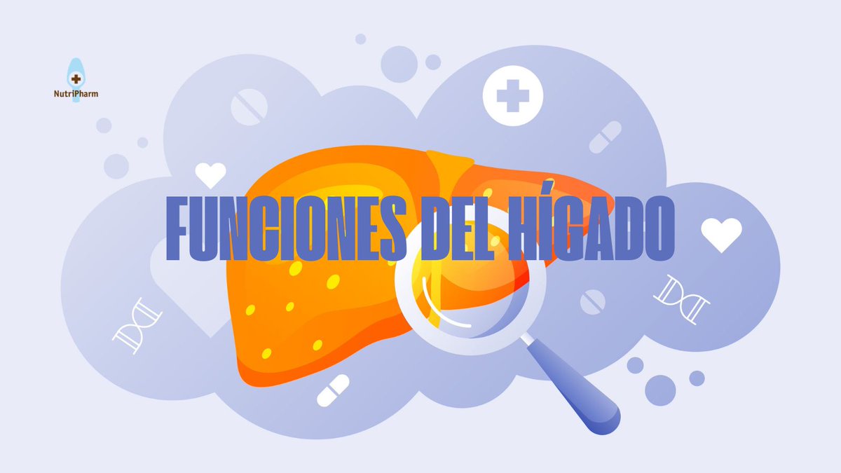 nutri_pharm's tweet photo. Cuando pensamos en el hígado solemos asociarlo con “desintoxicar”.
Pero su función es mucho más amplia: influye en la digestión, el equilibrio hormonal y el metabolismo.
Entender cómo funciona ayuda a comprender muchos síntomas digestivos.

Hilo 👇 https://t.co/Cz1pfLtd9X