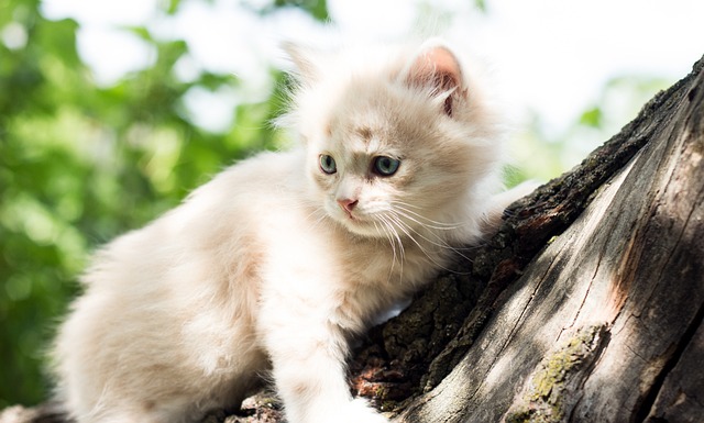 Betty Corbett tweet media