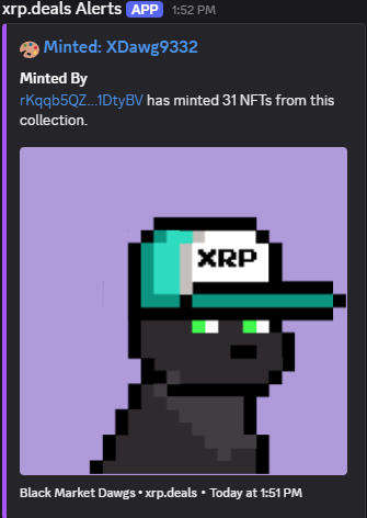 🐾 Black Market Dawgs 🐾 tweet media