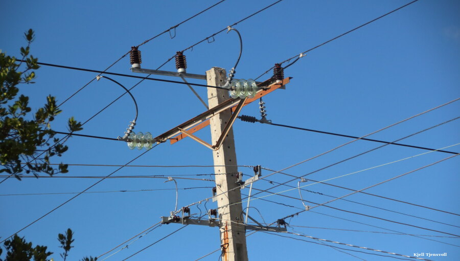 bne IntelliNews tweet media