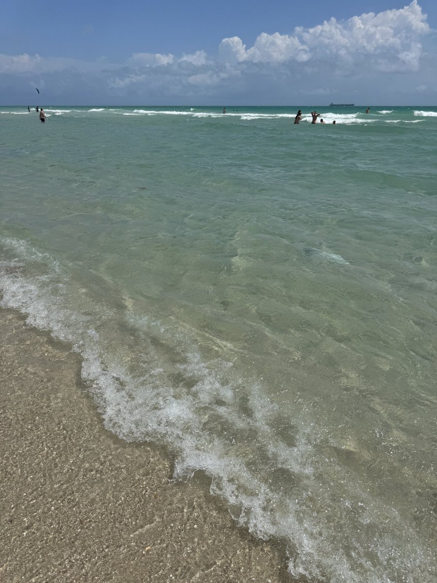 ania 🪽 tweet media