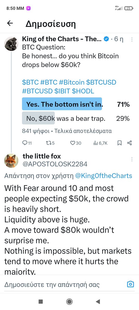 the little fox tweet media