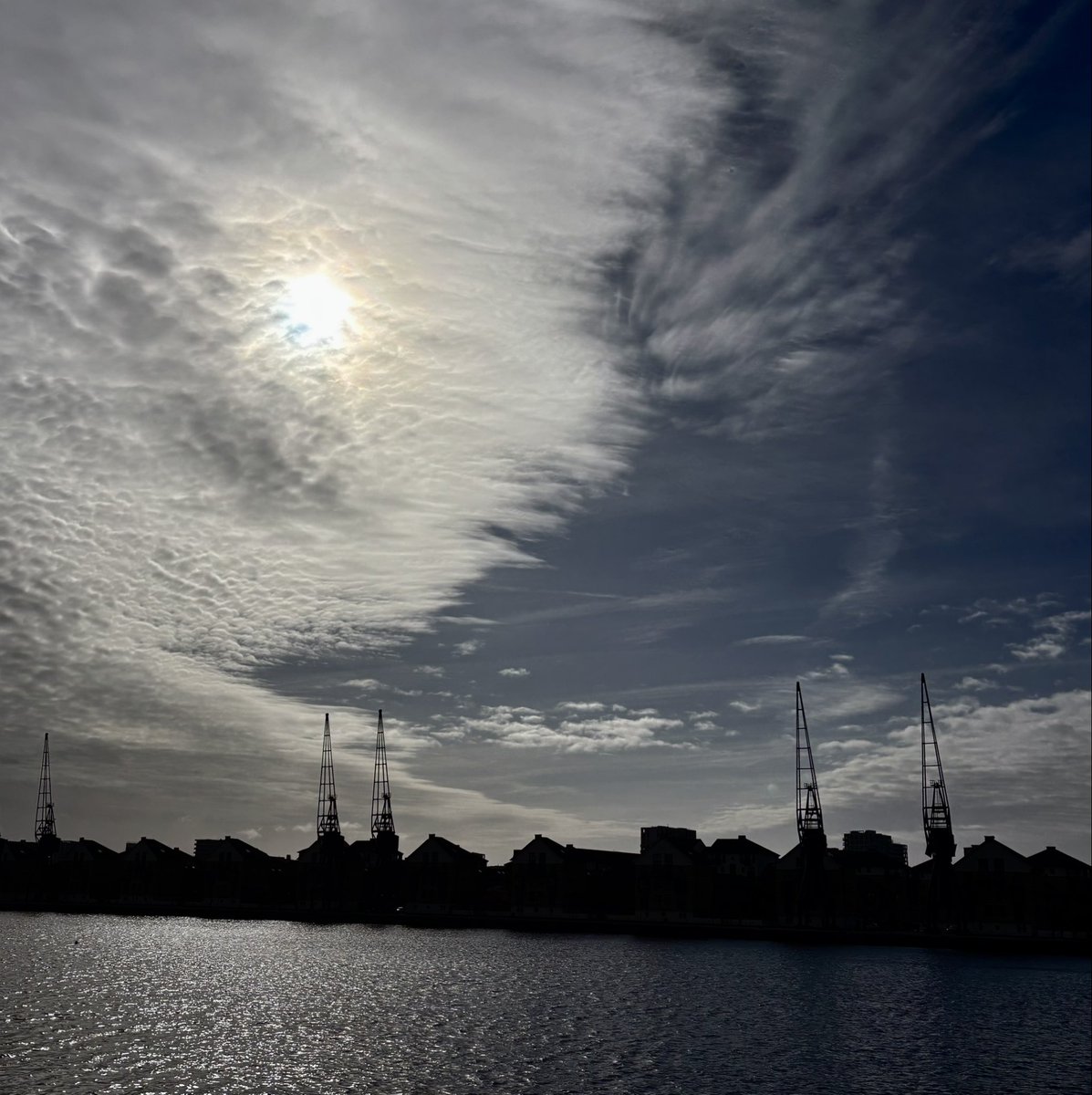 Prof Tim O'Brien tweet media