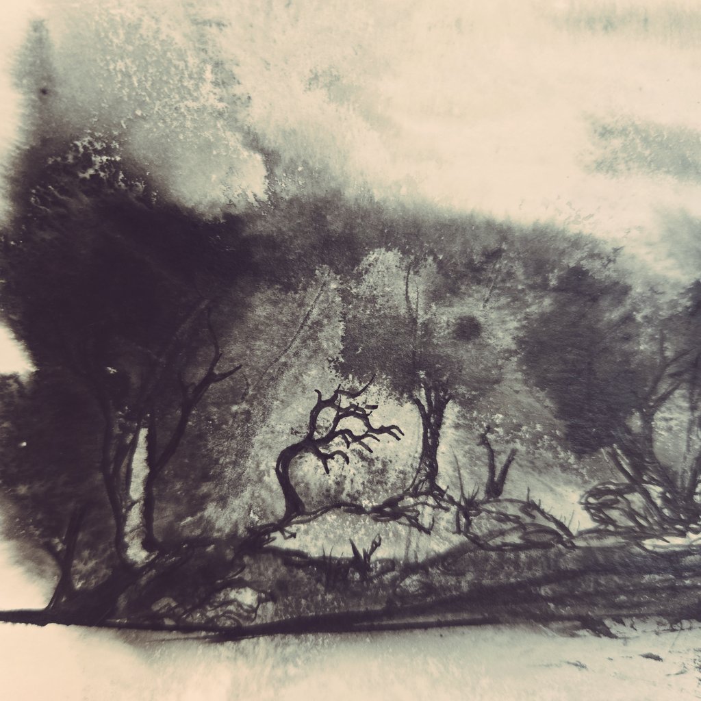 Corbin by the Coast 🇨🇦 tweet media