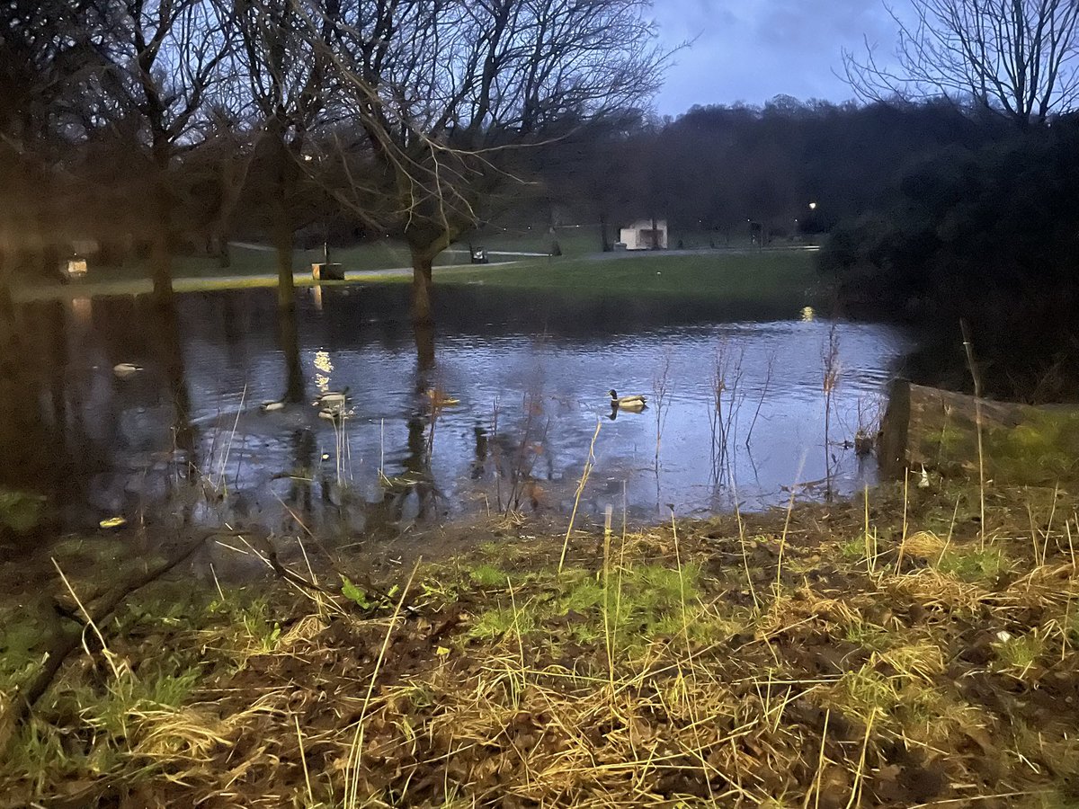 Govanhill Go! tweet media