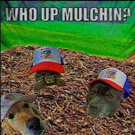 Fat Head Dave 🦔⛓️ tweet media