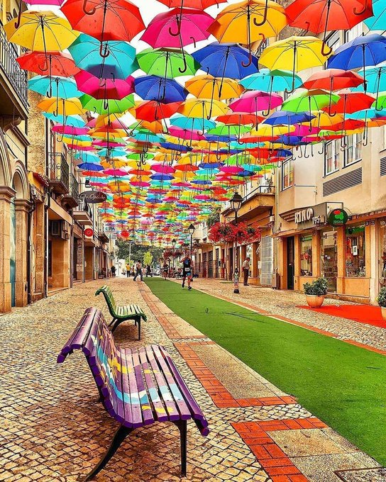 PatronesHumanos's tweet photo. Estas son las calles más bonitas del mundo:  

Abro hilo 🧵

1. La calle Paraguas en Águeda, Portugal https://t.co/NqJdxh2dZG