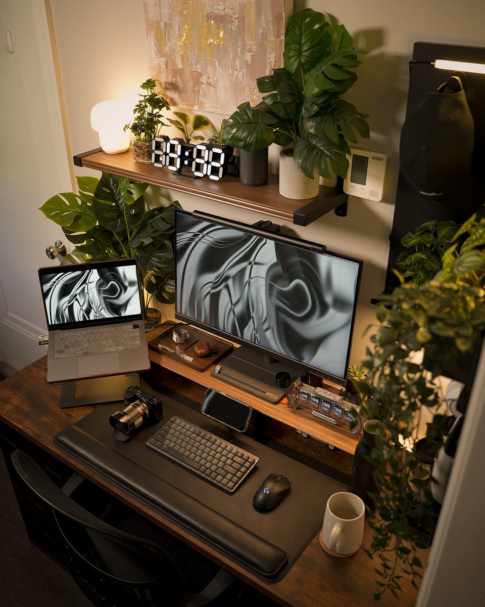 Minimaldex tweet media