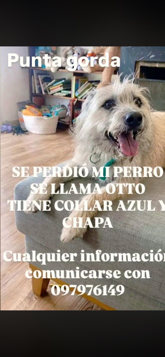 Adriana (@adriana43587622) on Twitter photo 