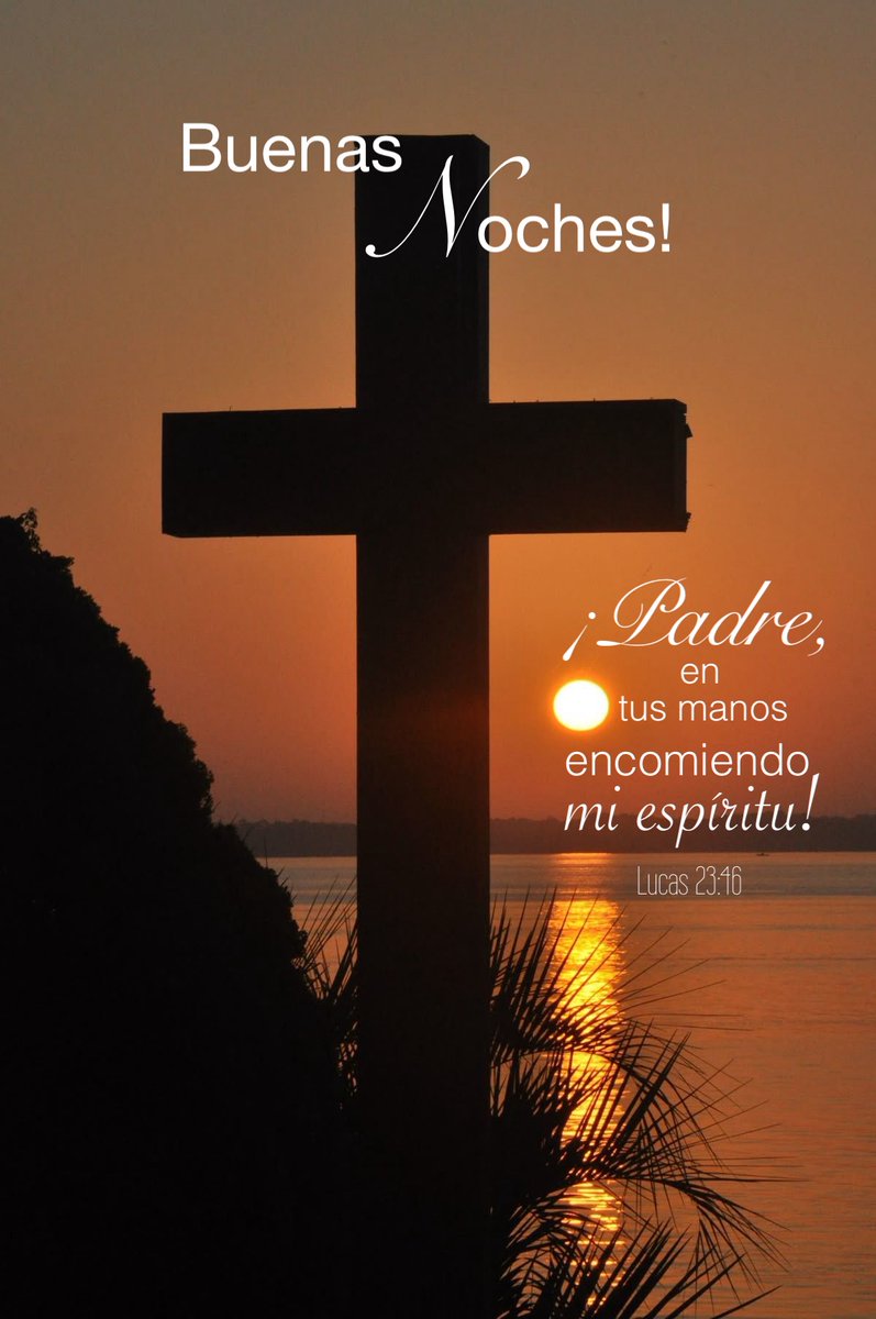 Loren Castillo tweet media