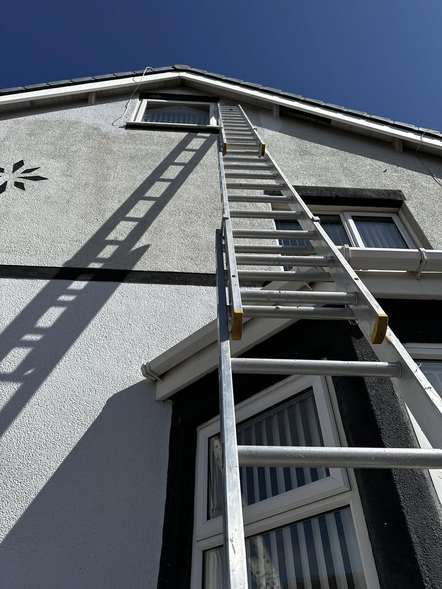 DecoratorsU's tweet image. that time of the year again...

#decorator #ladder #outdoors