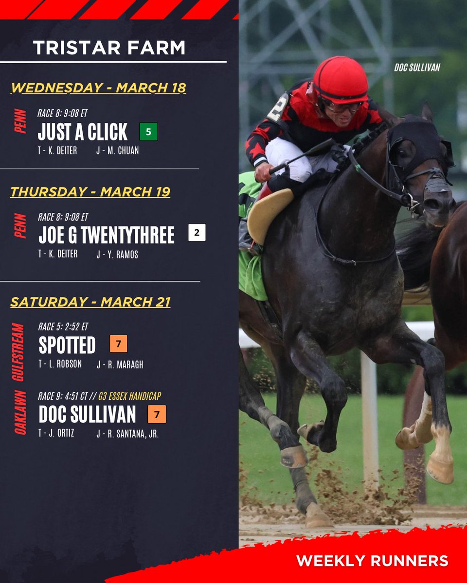 tslostritto's tweet photo. Big weekend ahead featuring Doc Sullivan in Saturday’s G3 Essex Handicap at Oaklawn. Safe trips to all! ⭐️🏇 https://t.co/L5VJLSPkcX