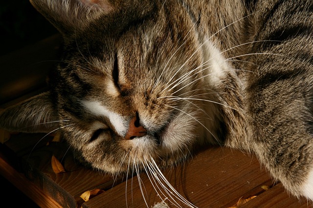 Jason Ferrell tweet media