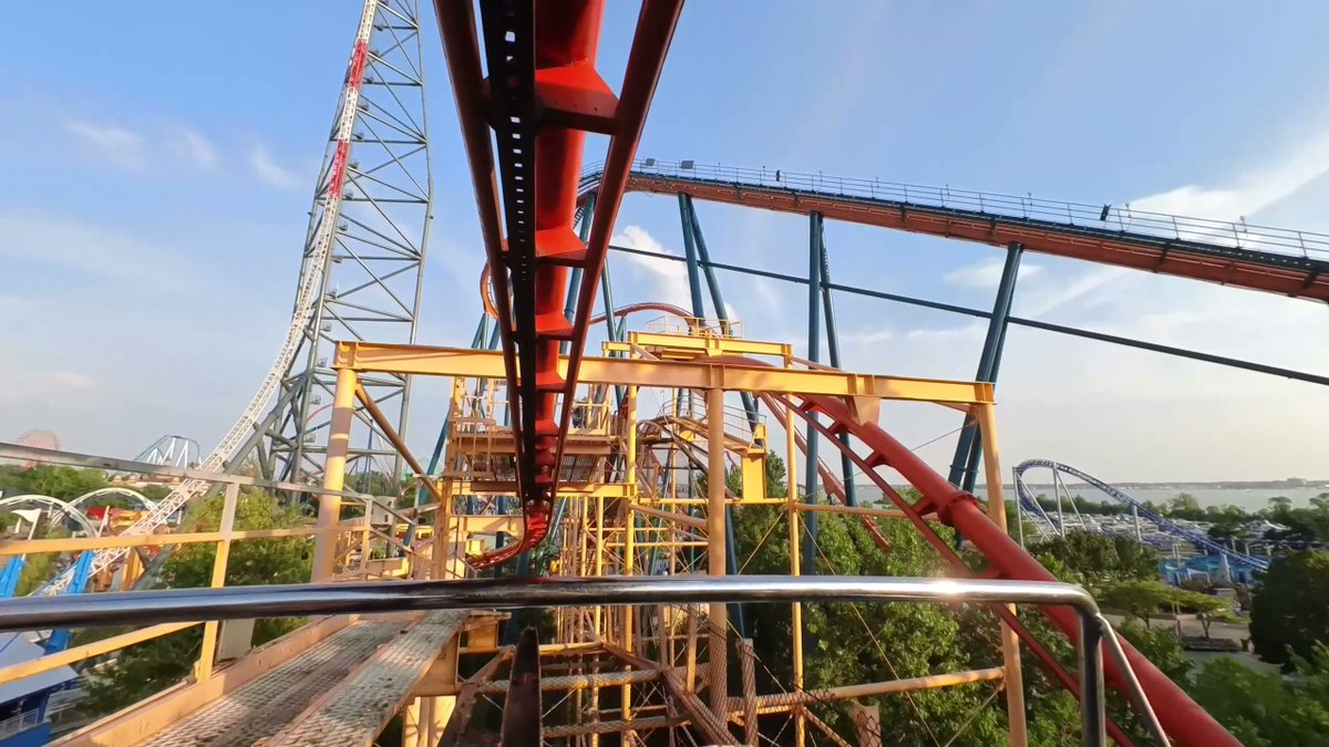 IAmMiami tweet media