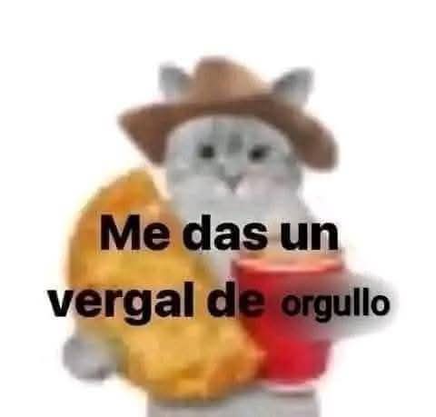 RichFoxy 87 tweet media