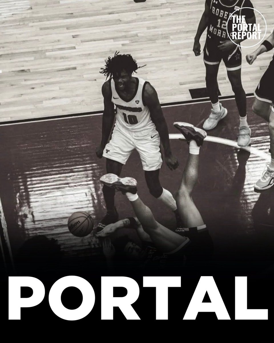 ThePortalReport's tweet photo. Youngstown State C Imanuel Zorgvol (@ImanuelZorgvol) is entering the transfer portal, he tells TPR. 

Zorgvol averaged 5.7 points, 2.8 rebounds, and 1.9 blocks per game this season. Member of the Horizon League All-Defensive Team. 

@VerbalCommits https://t.co/mZ4NWE5fsq