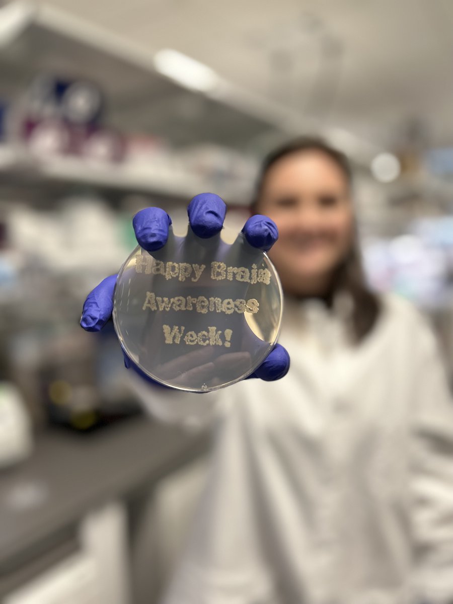 Allen Institute tweet media